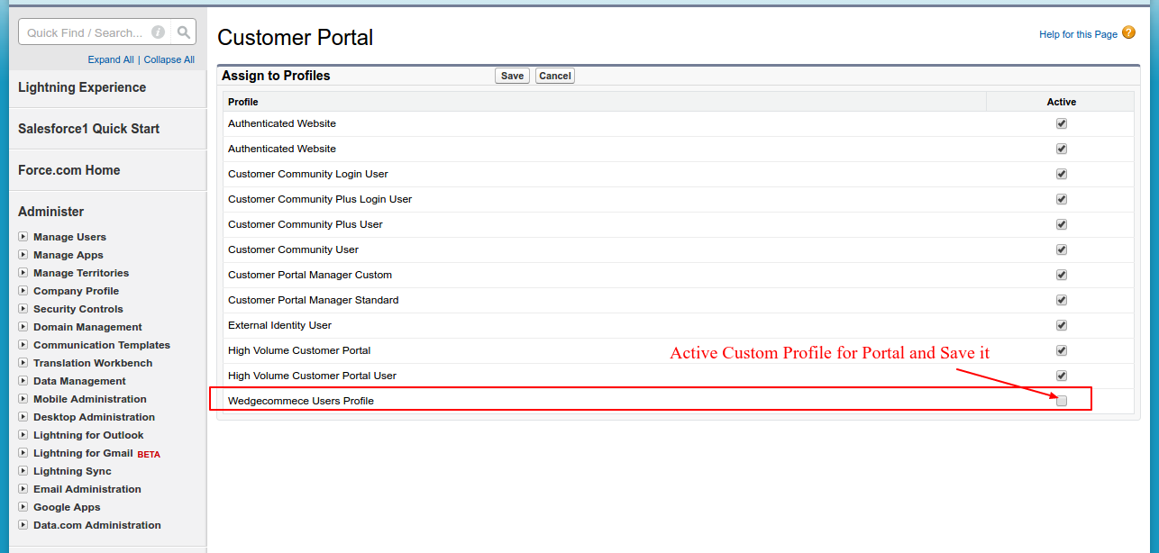 profile assignment changes in salesforce