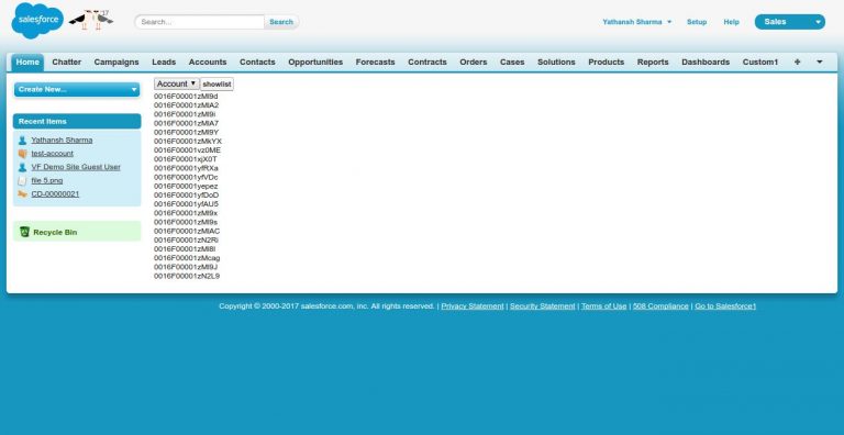 Dynamic Query Example Apex