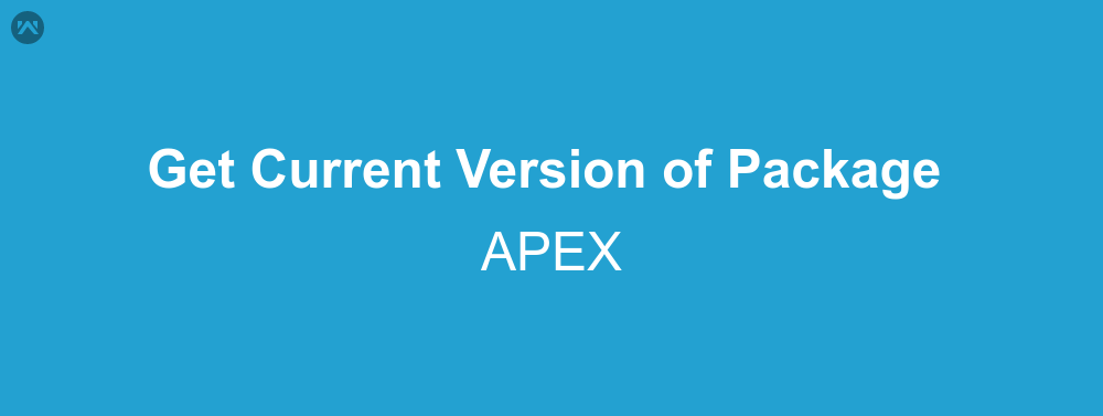 How to get the current version of package in apex