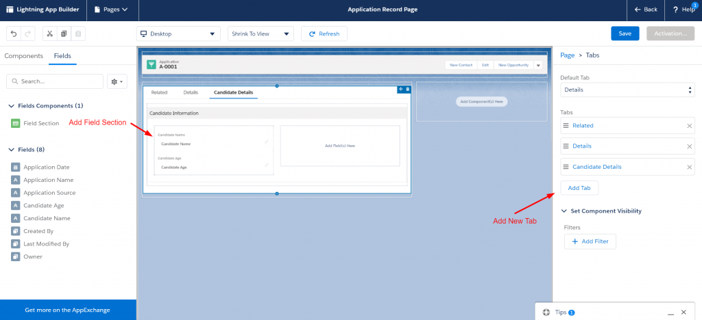 give users permission to lightning app builder salesforce
